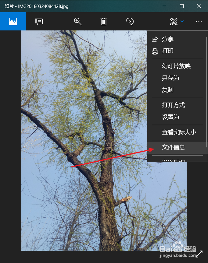 如何查看图片或者照片的大小