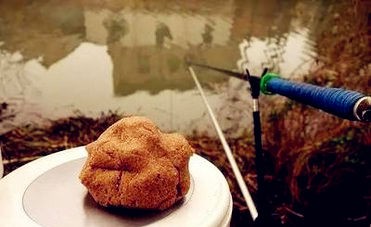 初夏钓鲫鱼饵料配方