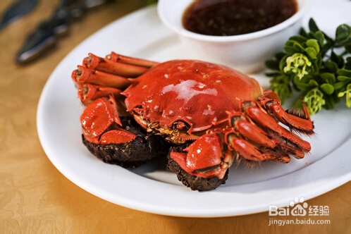 海鲜和葡萄酒搭配的美味