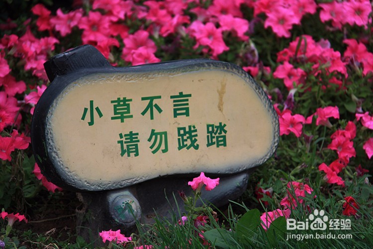 入门摄影：拍照为了记录和发现不同的角度