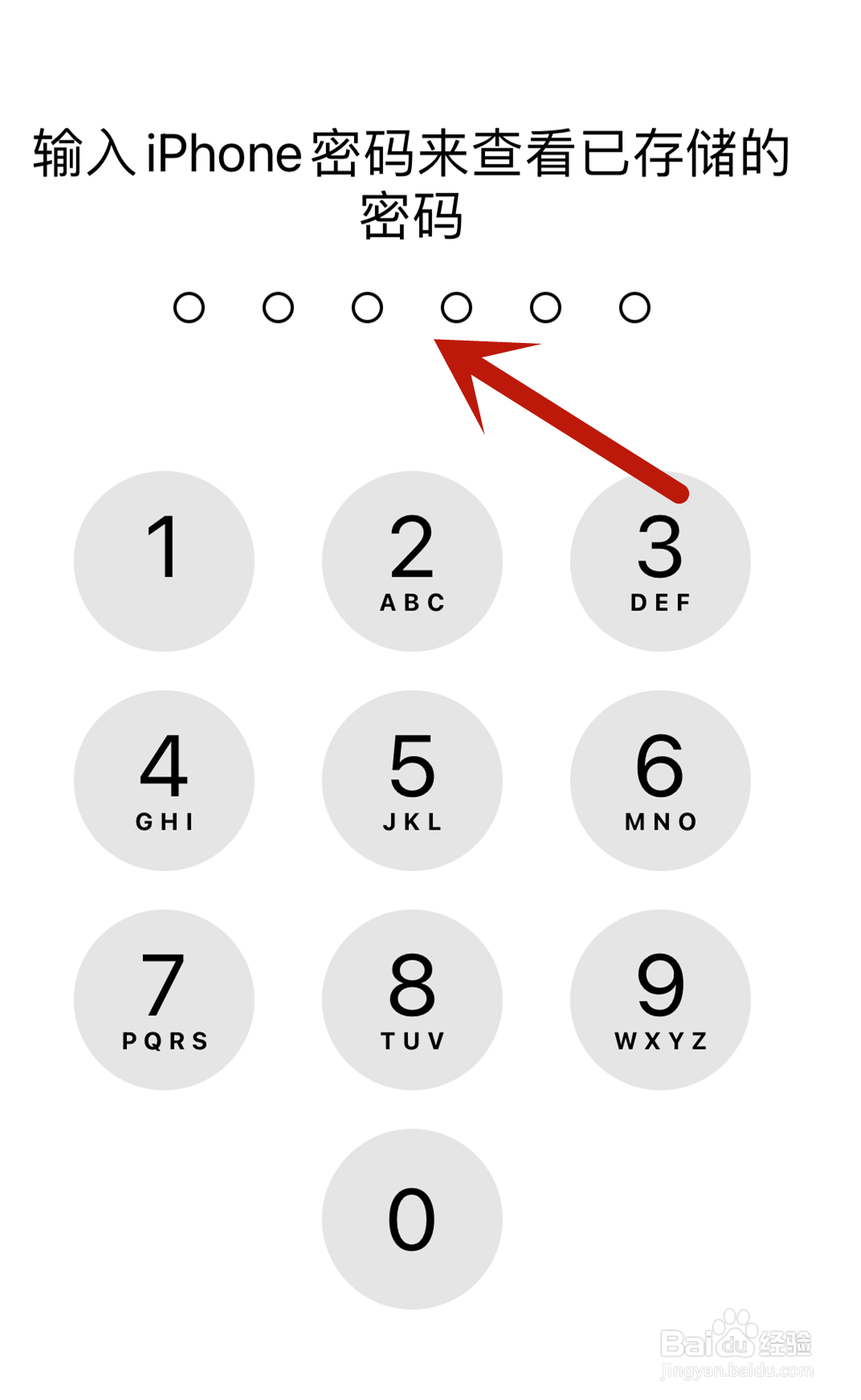 苹果手机怎么开启自动填充密码