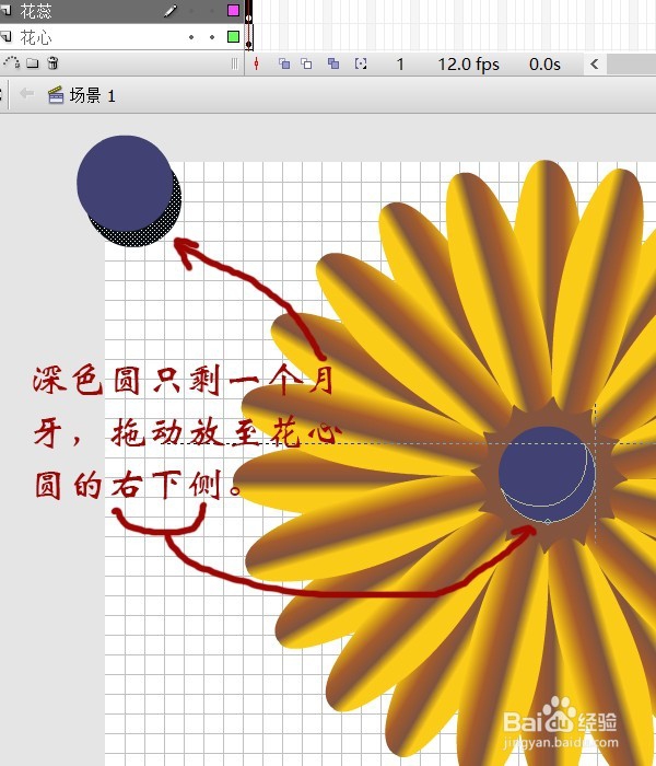 用flash绘制一朵花