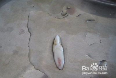 孩子牙外伤了该怎么办
