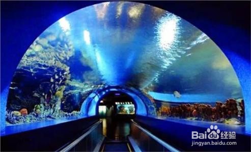 西安有哪些地方很好玩