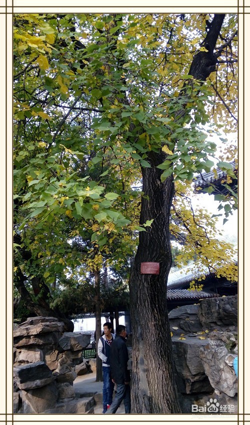 带爸妈游避暑山庄