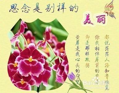 怎样让恋人间的感情更牢固