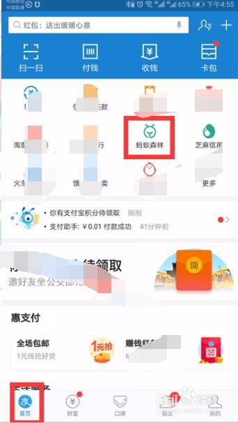 支付宝蚂蚁森林合种,其他好友可以看到吗