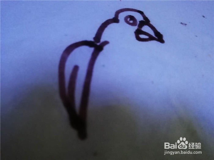 怎么样用简笔画画鹦鹉