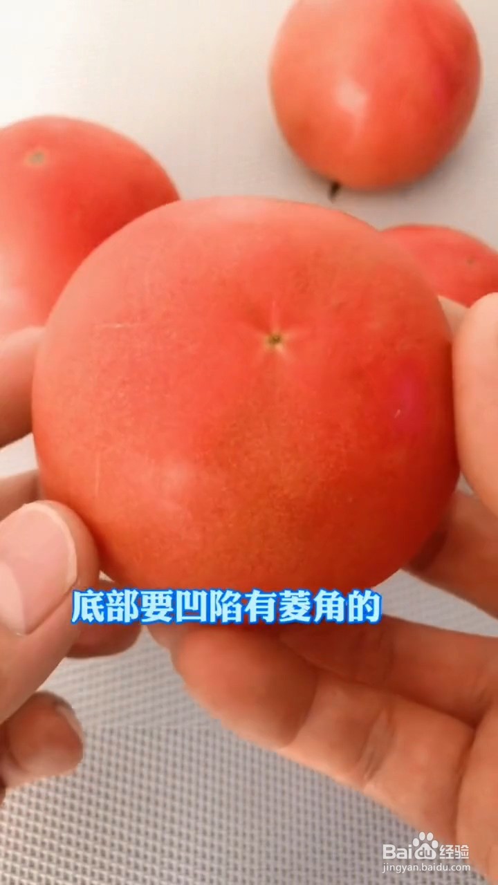 如何挑选西红柿