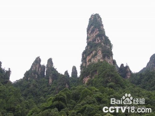 张家界长沙单飞高铁三日精致游