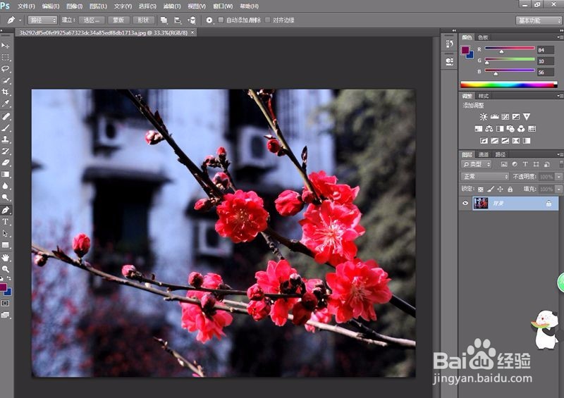 photoshop的曲线调色怎么使用