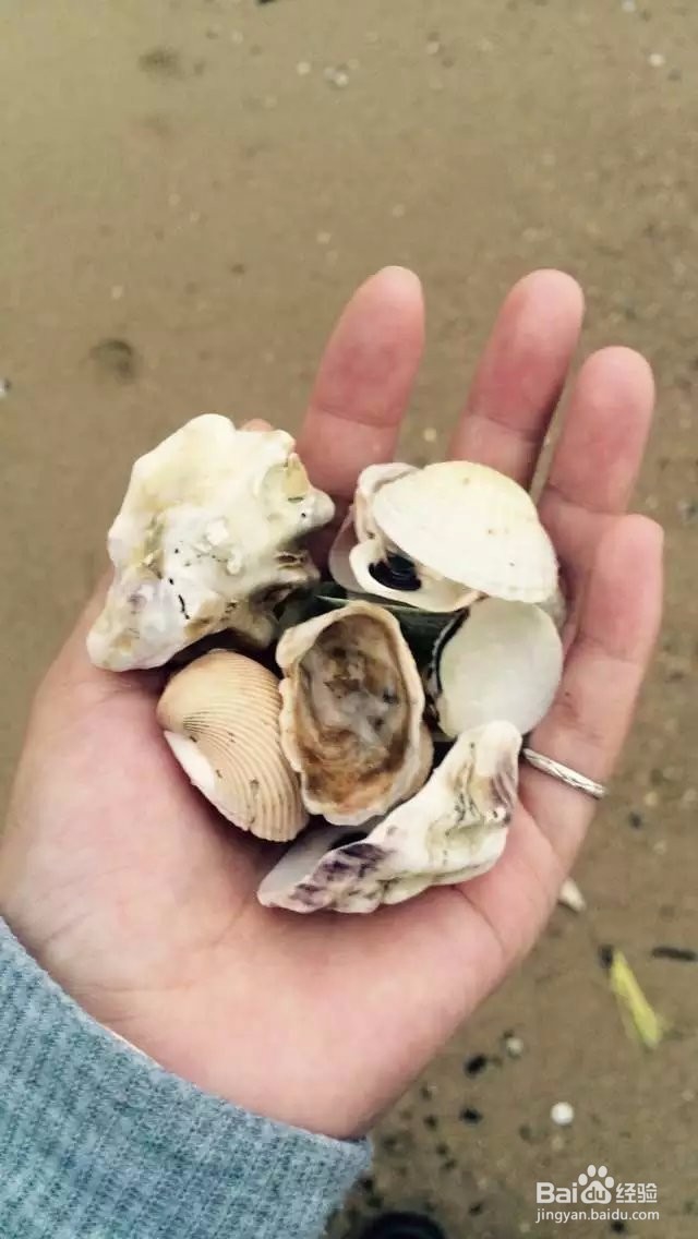 两天一日较场尾游攻略