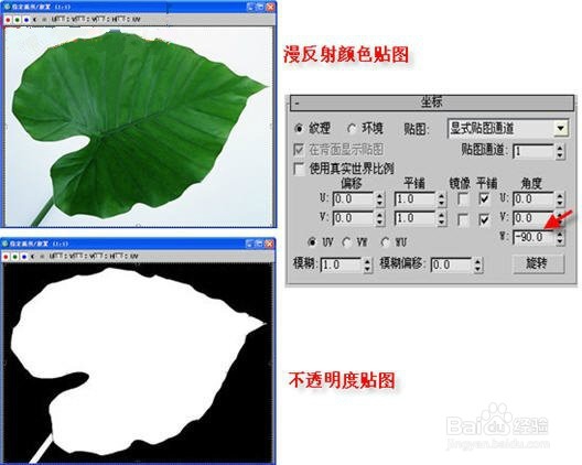 使用3dMax制作美丽清新紫色牵牛花全过程