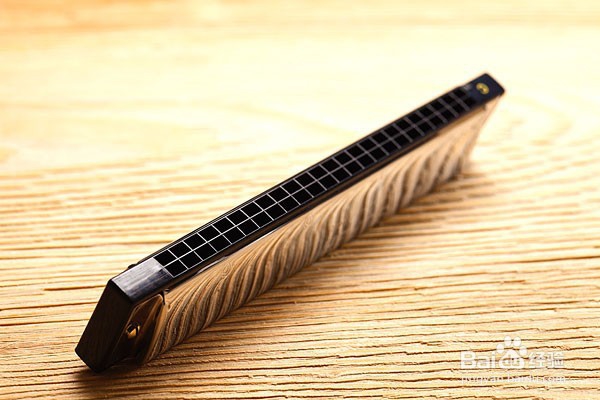 半音阶口琴应该怎么清洗比较好