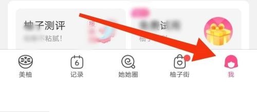 美柚怎么查看关于美柚
