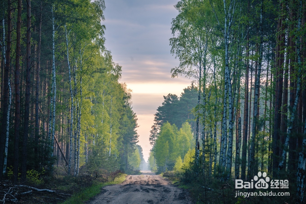 波兰古堡旅游简记8