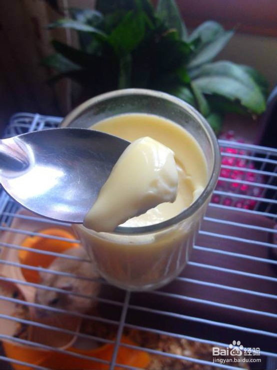 牛奶布丁的教程