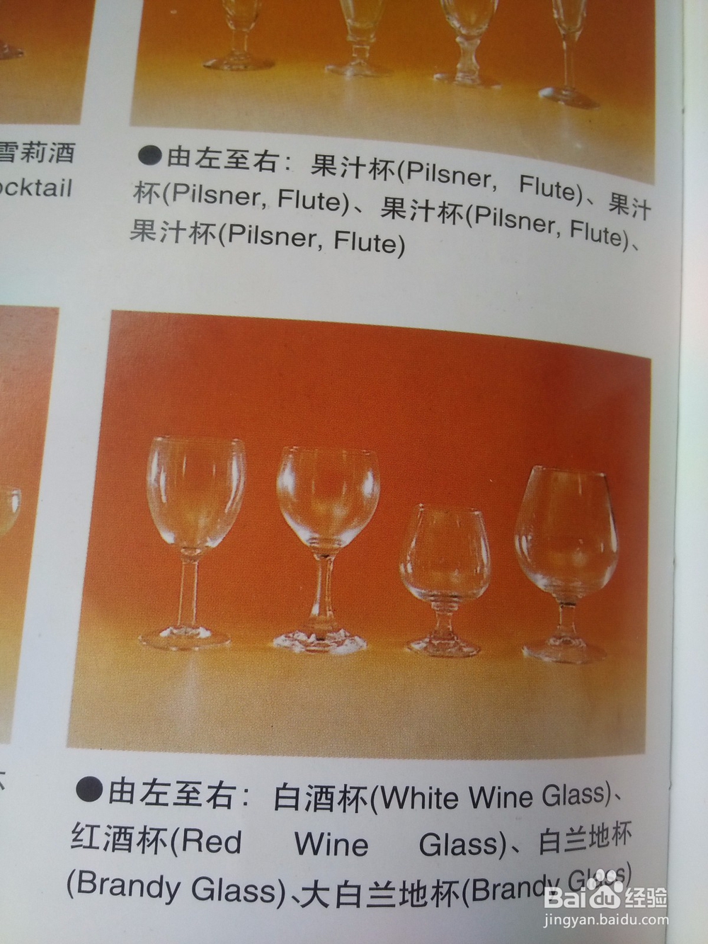 酒杯的分类——调酒师带你入门