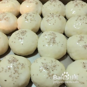 普通面粉早餐包