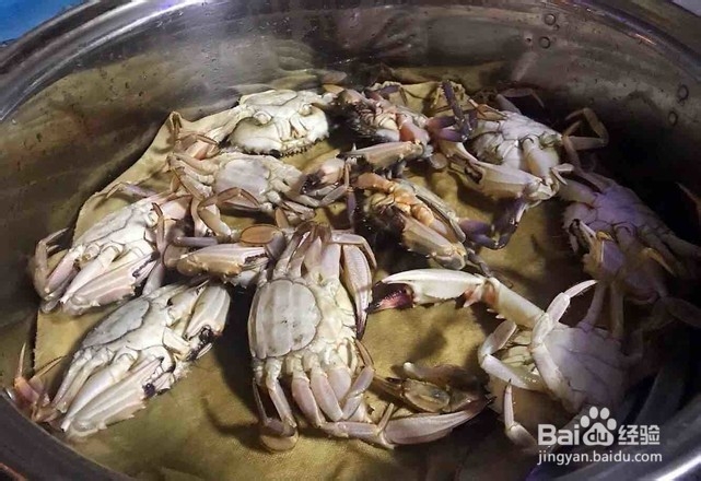 清蒸花盖蟹的作法