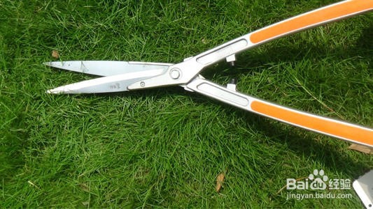 大平剪的使用和养护