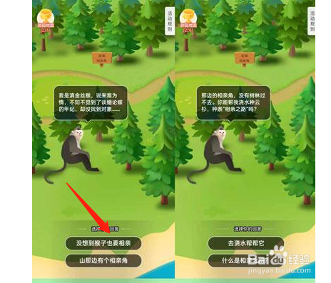 蚂蚁森林喵喵保护罩有什么用