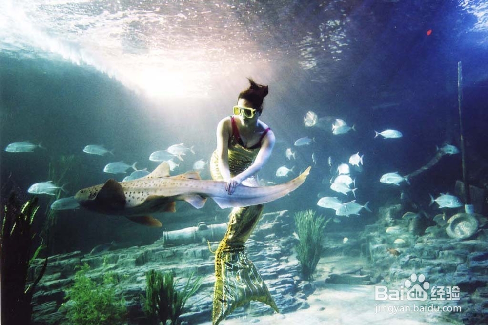 武汉东湖海洋世界公园旅游攻略