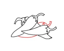 简笔画---怎么画辣椒