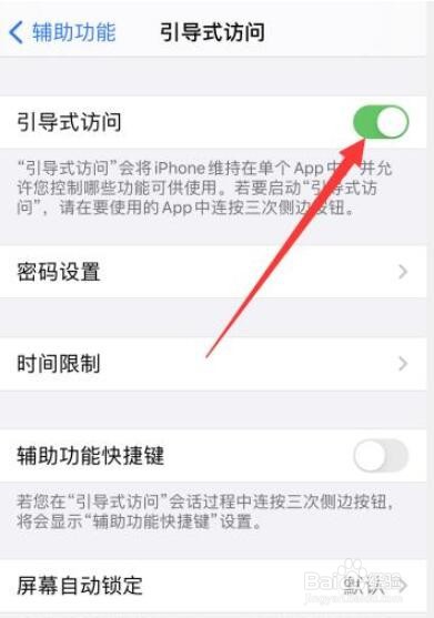 苹果引导式访问怎么用不了了