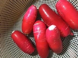 健康养生佳品超级脆的凉拌萝卜丝