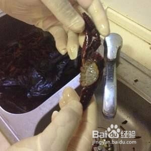 如何清洗小龙虾