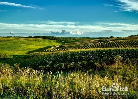 农村土地如何赚钱