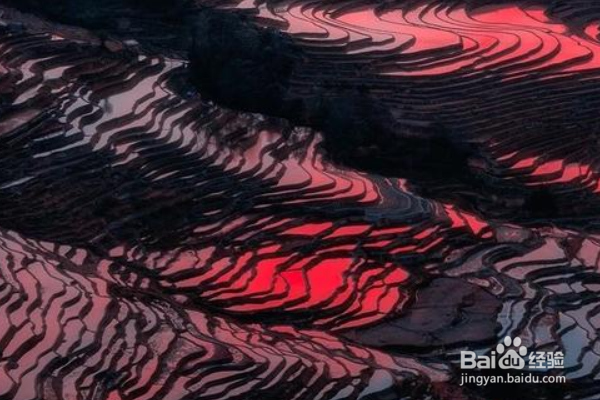 年底最佳“性价比”旅游地