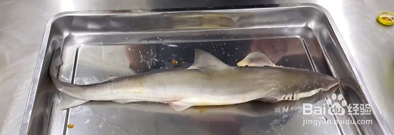 清蒸鲨鱼的做法