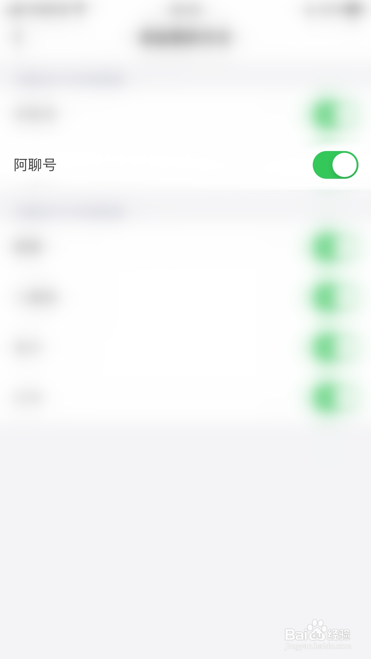 怎么启用面纱公园阿聊号
