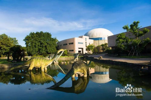 自贡恐龙博物馆旅游攻略