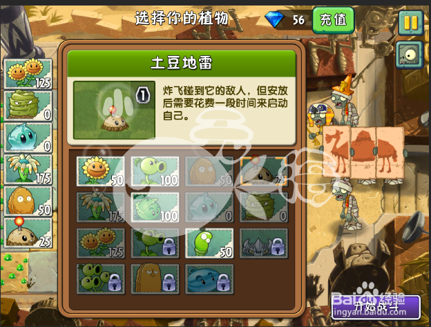 植物大战僵尸2攻略 神秘埃及 第四天一星