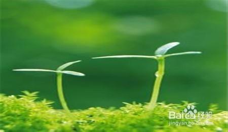 写给朋友们的十句话