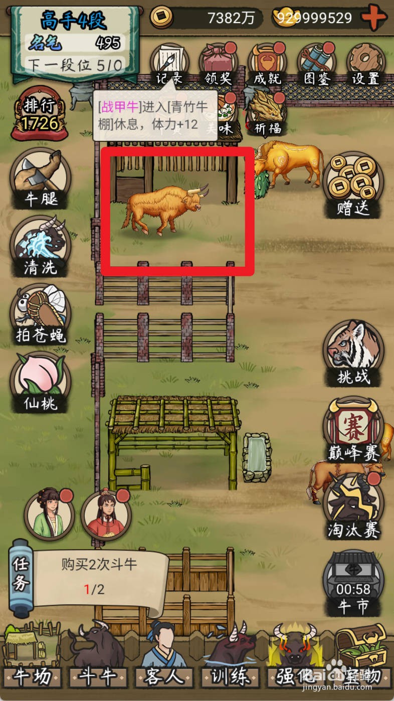 叫我养牛王如何购买爱吃嫩草的非主牛