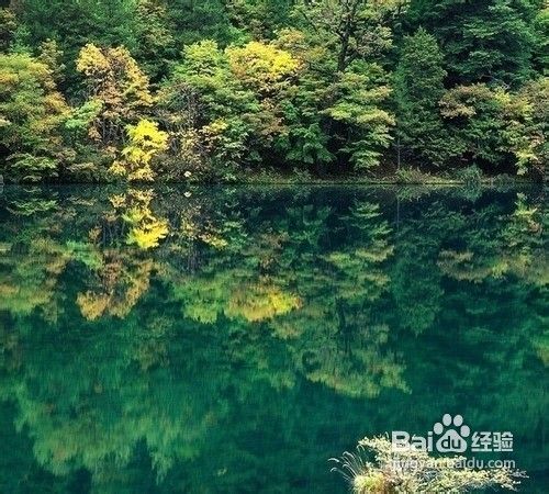 九寨沟_黄龙_“童话世界”四日游