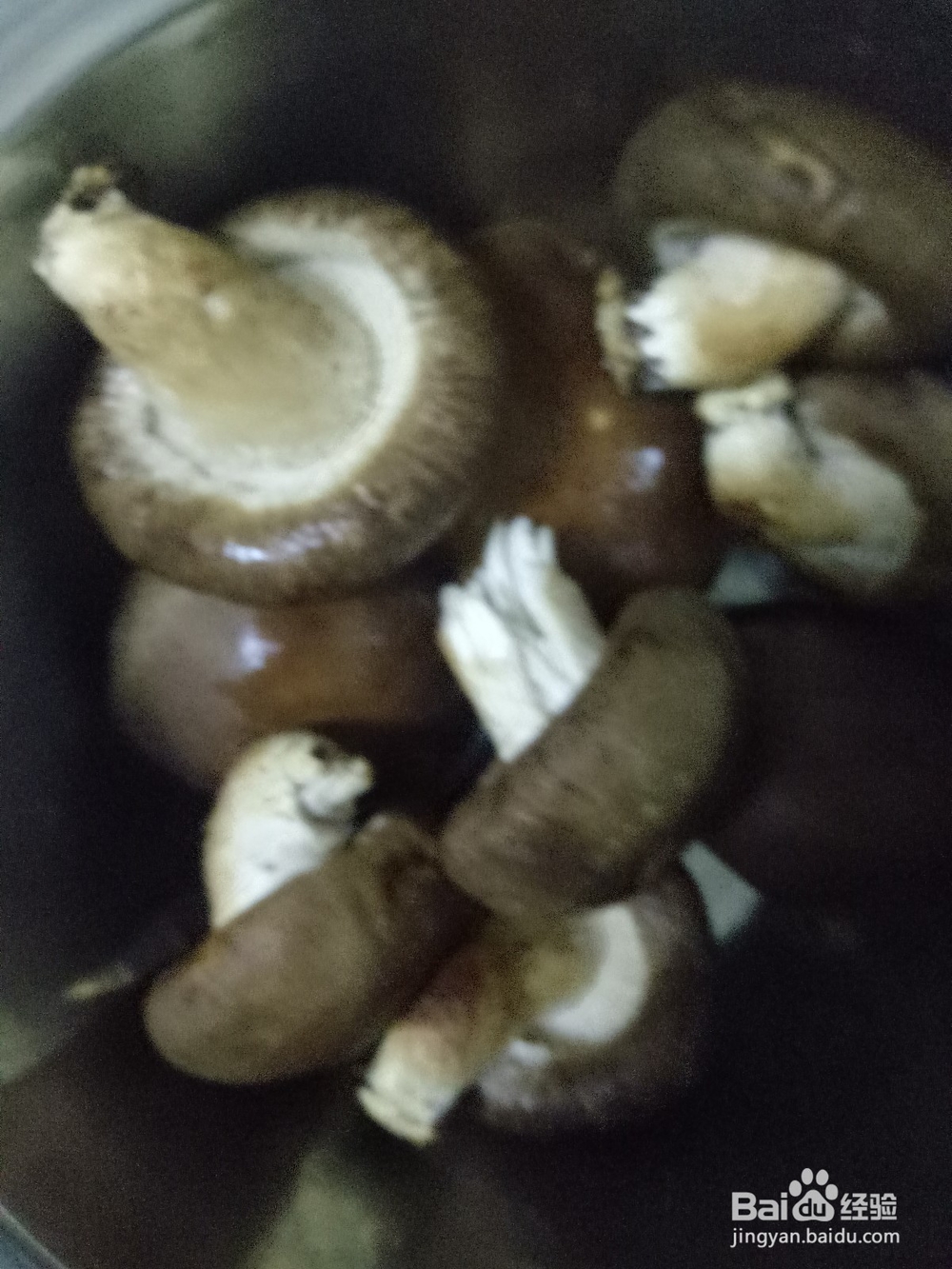 怎样包香菇肉馅水饺