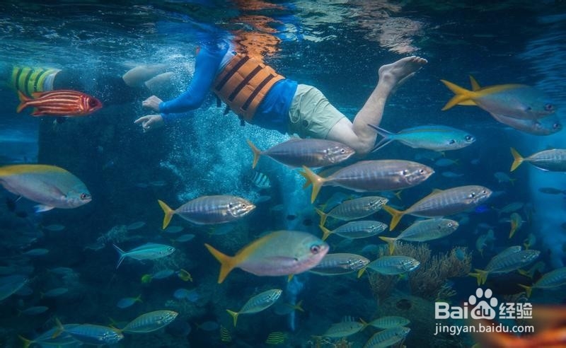 新加坡旅游简记22