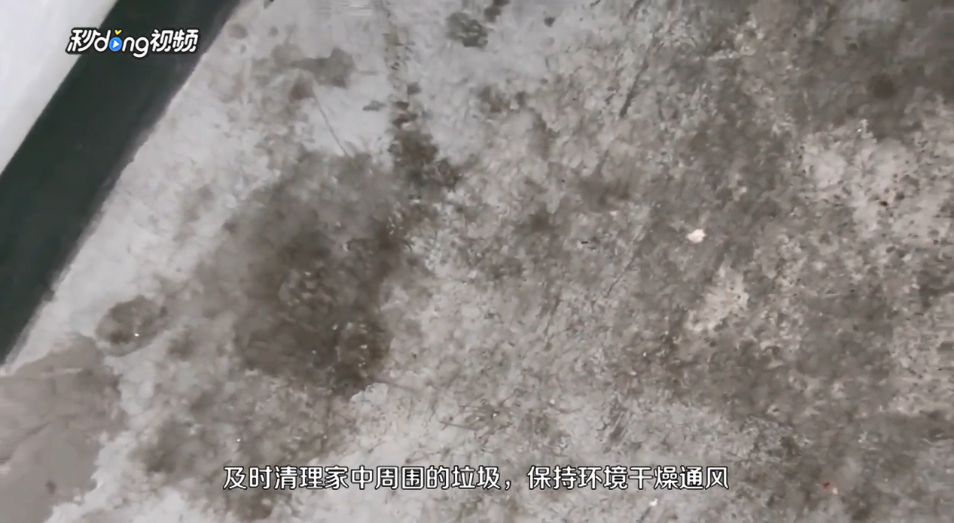 怎样消除千足虫