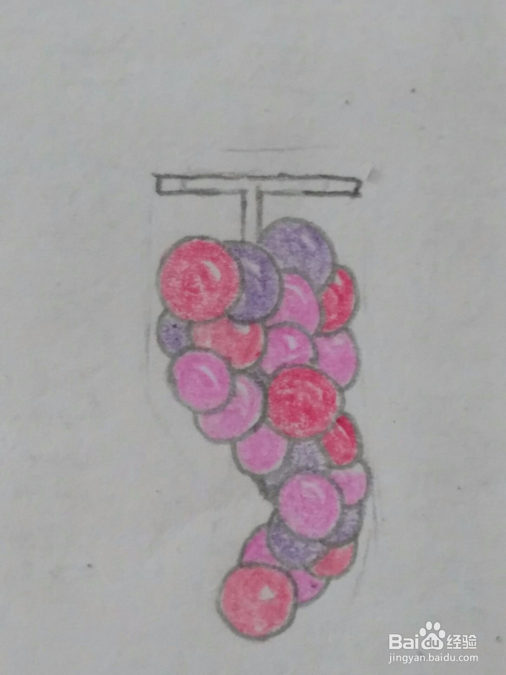 葡萄 简笔画 详细步骤教程