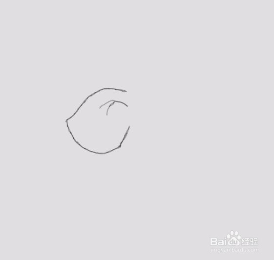 可爱的小猪是怎么画的