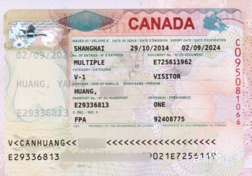 加拿大生孩子后如何申请陪读签证？