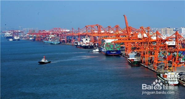 怎样海运门到门搬家到新西兰？