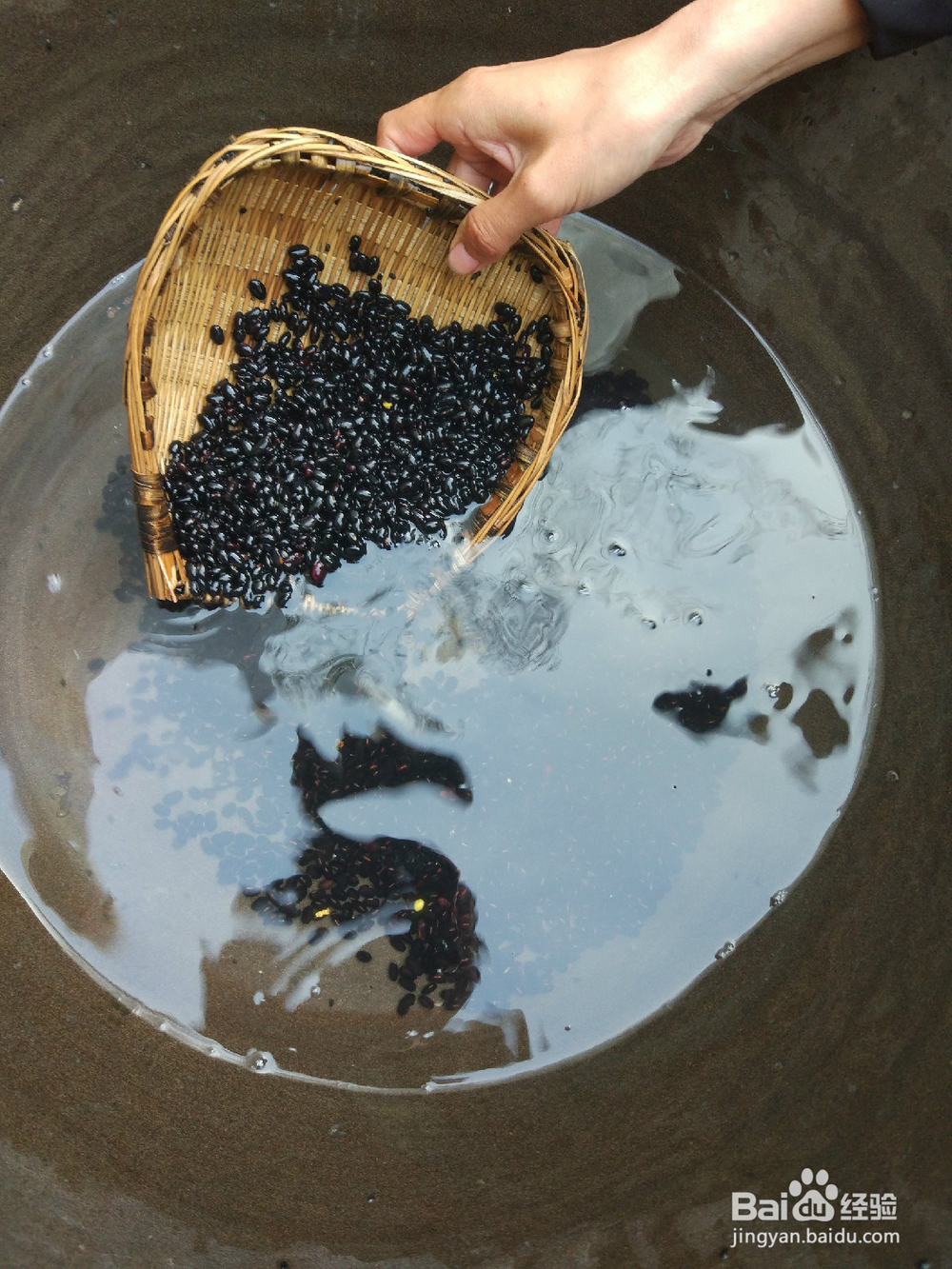 九蒸九晒黑豆的功效 与 九蒸九晒黑豆做法