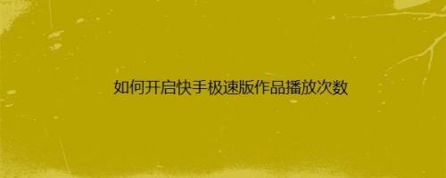 如何开启快手极速版作品播放次数