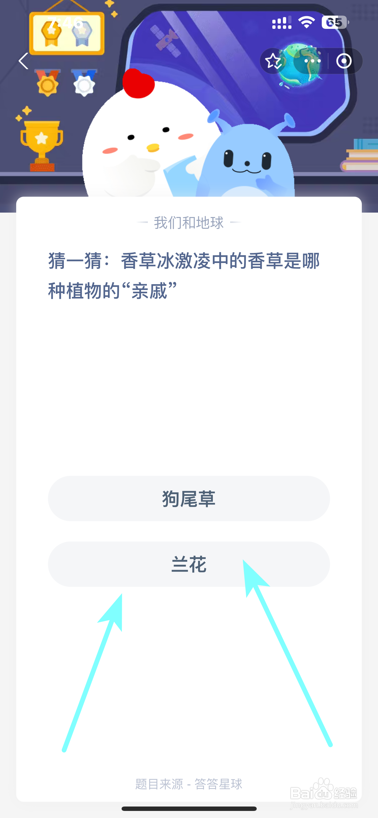 蚂蚁庄园8.30冰激凌中的香草是哪种植物的亲戚?